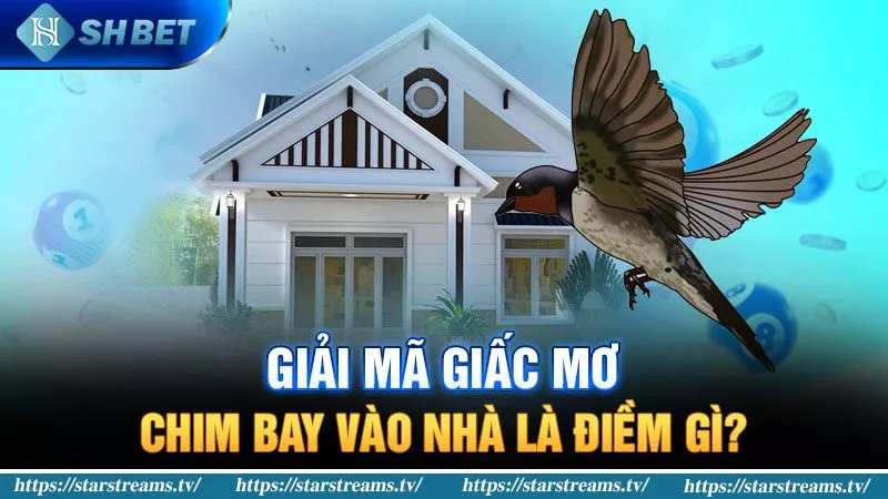 Banner www.maythucphamhoangquan.com