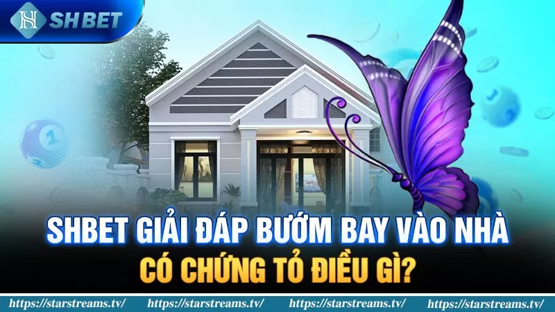 Banner www.maythucphamhoangquan.com