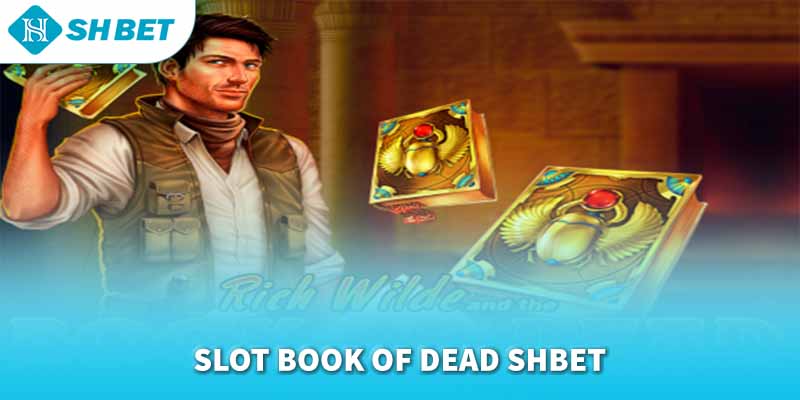 Banner www.maythucphamhoangquan.com