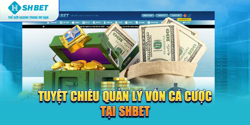 Banner www.maythucphamhoangquan.com